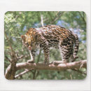 Suche nach klettern mousepads Baum