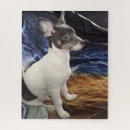 Suche nach kleine hunde puzzle Haustier