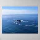 Suche nach otter poster Ozean