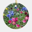 Suche nach veilchen ornamente Stiefmütterchen