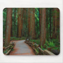 Suche nach muir mousepads Kalifornien