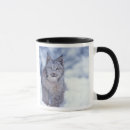 Suche nach luchs tassen Alaska