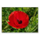 Suche nach mohnblume tischkarten Rot