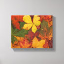 Suche nach fälle leinwandbilder Blattwerk