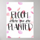 Suche nach hübschste rosen poster Inspirierend