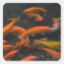 Suche nach feng shui aufkleber Glück