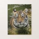 Suche nach katzenartig puzzle Tiger