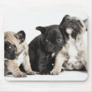 Suche nach drei tiere mousepads Niedlich