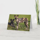 Suche nach gefährdete tiere karten Wildtiere