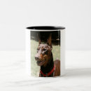 Suche nach dobermann tassen Welpe