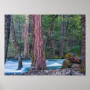 Suche nach giant poster Forest