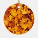 Suche nach im herbst ornamente Natur
