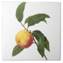 Suche nach pierre fliesen Vintag