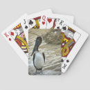 Suche nach nest spielkarten Vögel