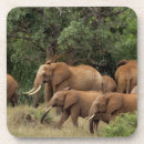 Suche nach kenia untersetzer Gruppe