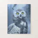Suche nach eulen foto puzzle Vögel