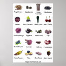 Suche nach obst und gemüse poster Lila