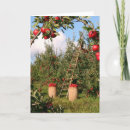 Suche nach apfelbaum karten Apfelbäume