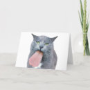 Suche nach zungen karten Katze
