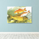 Suche nach aquarium leinwandbilder Goldfisch