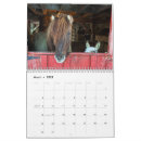 Suche nach pferde kalender Esel