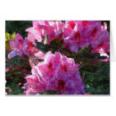 Suche nach rosa pfingstrosen postkarten Frühling