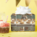 Suche nach waschbären geschenkpapier Spaß