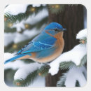 Suche nach bluebird aufkleber Schnee