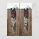 Suche nach howdy postkarten Pferd