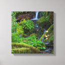 Suche nach regenwald leinwandbilder Wasserfall
