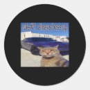 Suche nach katze memes aufkleber Katzenliebhaber