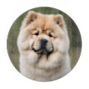 Suche nach welpe schneidebrettchen Niedlich