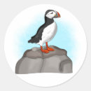 Suche nach puffins aufkleber Vögel