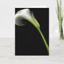 Suche nach calla lilly karten Jahrestag