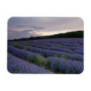 Suche nach cropland Wolken