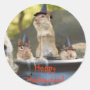 Suche nach chipmunk aufkleber Nagetier