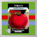Suche nach tomate kunst Kochen