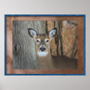 Suche nach weißer schwanz poster Tierwelt
