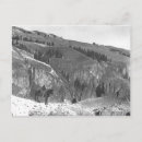 Suche nach herde postkarten Fotografie