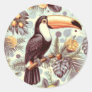 Suche nach toucan aufkleber Dschungel