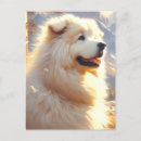 Suche nach pyrenäen postkarten Hund