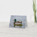 Suche nach wasservogel karten Tier