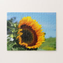 Suche nach sonne blume puzzle Sonnenblume