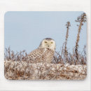 Suche nach connecticut mousepads Natur
