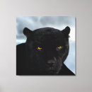 Suche nach panther leinwandbilder Wildkatzen