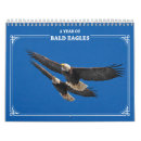 Suche nach adler kalender Wild lebende tiere