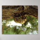 Suche nach eile poster Baum