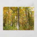 Suche nach herbstlandschaft postkarten Wald