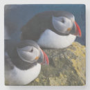 Suche nach klipp untersetzer Vogelvogel