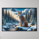 Suche nach lynx poster Wildnis